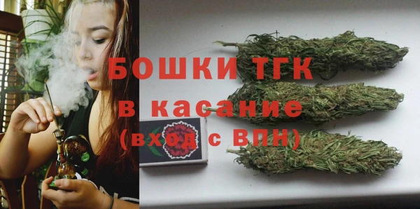 сатива Киренск